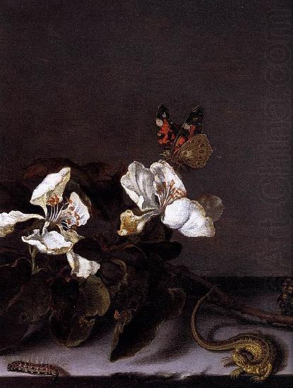 Balthasar van der Ast Still-Life with Apple Blossoms china oil painting image